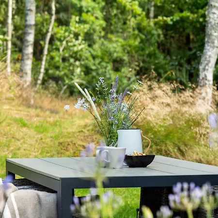 Tatil Evi Stunning In With Wifi Ålbæk